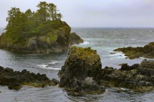 Top 10 Things to Do in Pacific Rim National Park Reserve