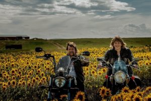 Sunflower Fields and Sunflower Mazes to Visit in Alberta