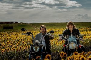 Sunflower Fields and Sunflower Mazes to Visit in Alberta - 2023 Season