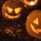 2026 Thanksgiving Long Weekend Activities, Festivals & Events in Toronto