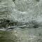 Places to See Salmon Run Around Metro Vancouver