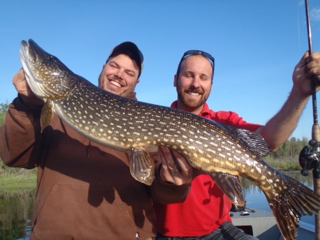 Photo Credit: Aikens Lake Wilderness Lodge