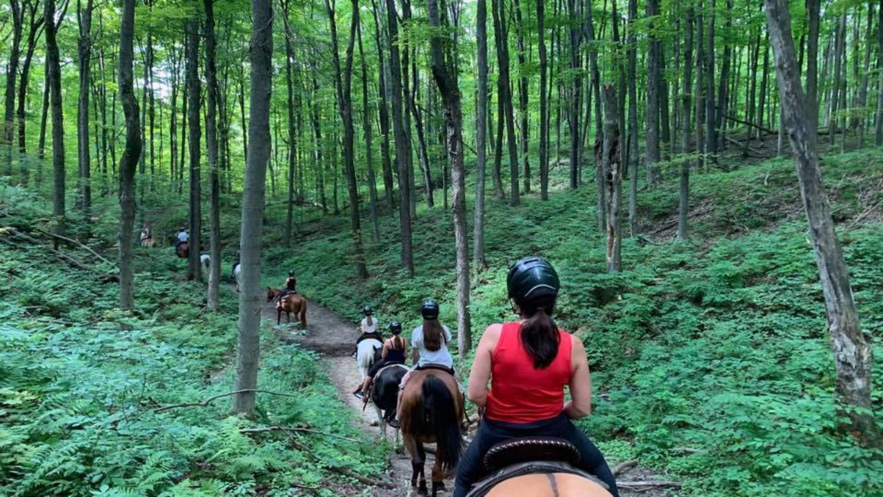 25 Day Trips East Of Toronto To Do Canada