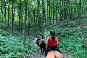 25 Day Trips East of Toronto