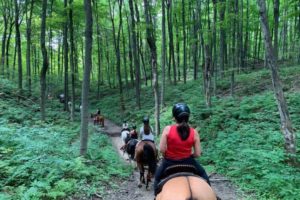 25 Day Trips East of Toronto