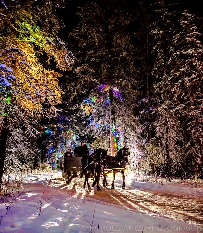 17 Must Visit Places to See Magical Christmas Lights in Alberta