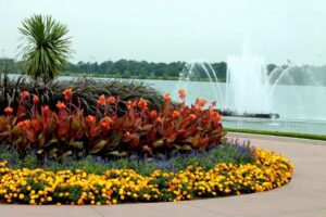 Things to Do During Labour Day Weekend in Windsor Essex Region