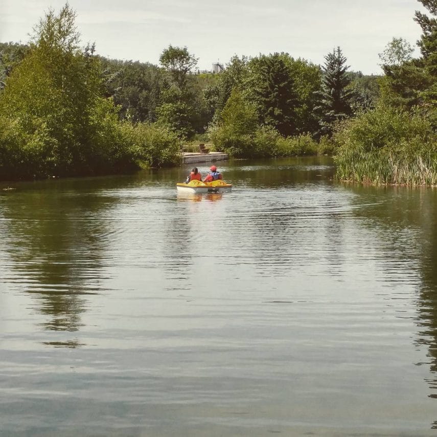 Things to Do With Kids in and around Edmonton