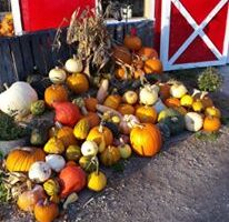 Festivals in Manitoba in September