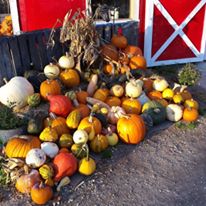 Festivals in Manitoba in September