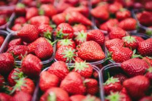 Places to Go Berry Picking in and Around Kitchener-Waterloo Region