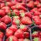 Places to Go Berry Picking in and Around Kitchener-Waterloo Region