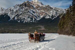 Jasper in January