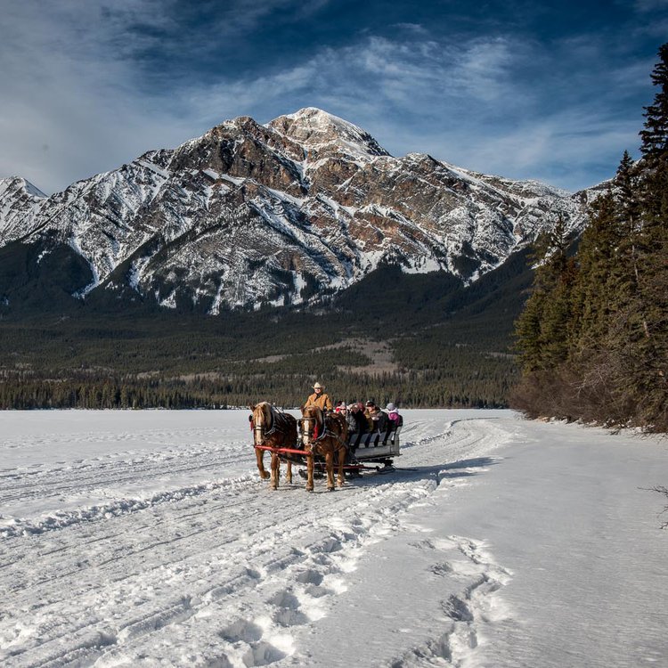 Jasper in January