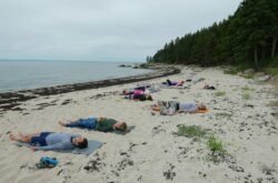 Pictou Island: Discover Tranquility and Seclusion on Your Next Nova Scotia Getaway