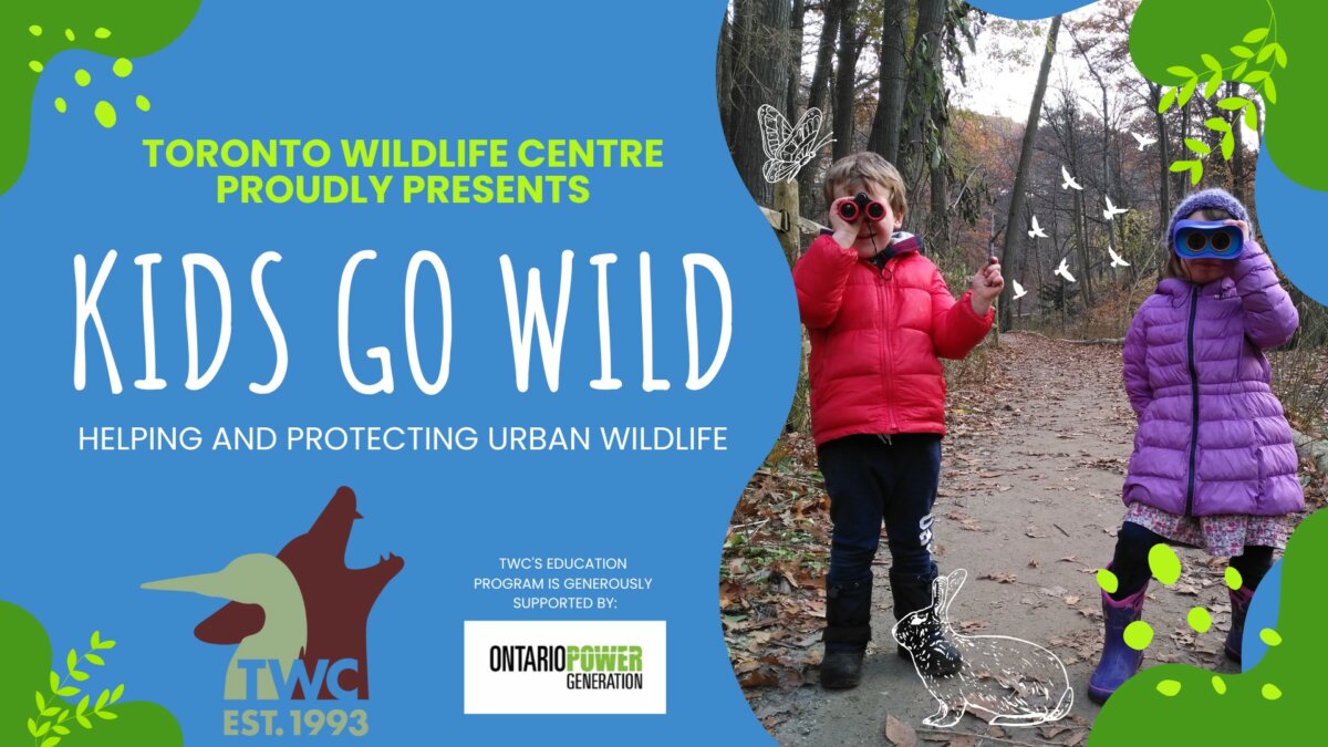 Kids Go Wild! March Break Toronto Wildlife Centre, 60 Carl Hall Rd