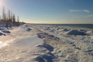 5 Things to Do during Winter at the Pinery Provincial Park