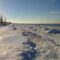 5 Things to Do during Winter at the Pinery Provincial Park