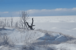 Family Day Weekend in Ontario: Festivals & Getaways
