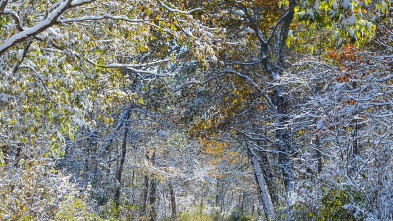 25 Outdoor Winter Activities In Windsor Essex Region To Do Canada