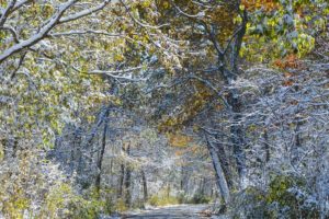 25 Outdoor Winter Activities in Windsor-Essex Region