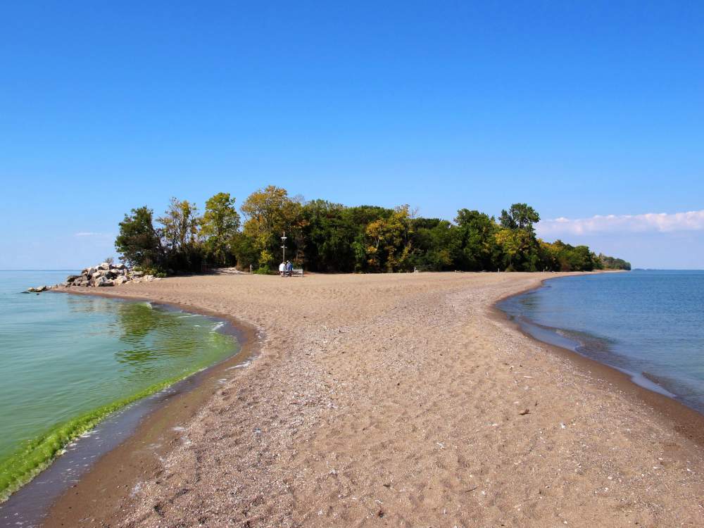 Image result for point pelee national park