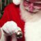 Places to Go For Polar Express and Santa Trains in Alberta