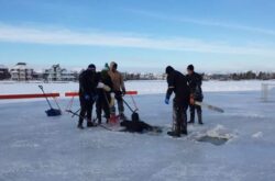 Polar Bear Dips in Alberta - 2026