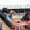 Ponoka Stampede