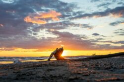 Port Burwell Provincial Park: 2.5 km Long Beach Paradise You Can't Miss