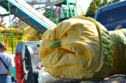 More Than Giant Pumpkins: What to See, Eat, and Do at Port Elgin Pumpkinfest 2026