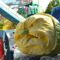 More Than Giant Pumpkins: What to See, Eat, and Do at Port Elgin Pumpkinfest 2026