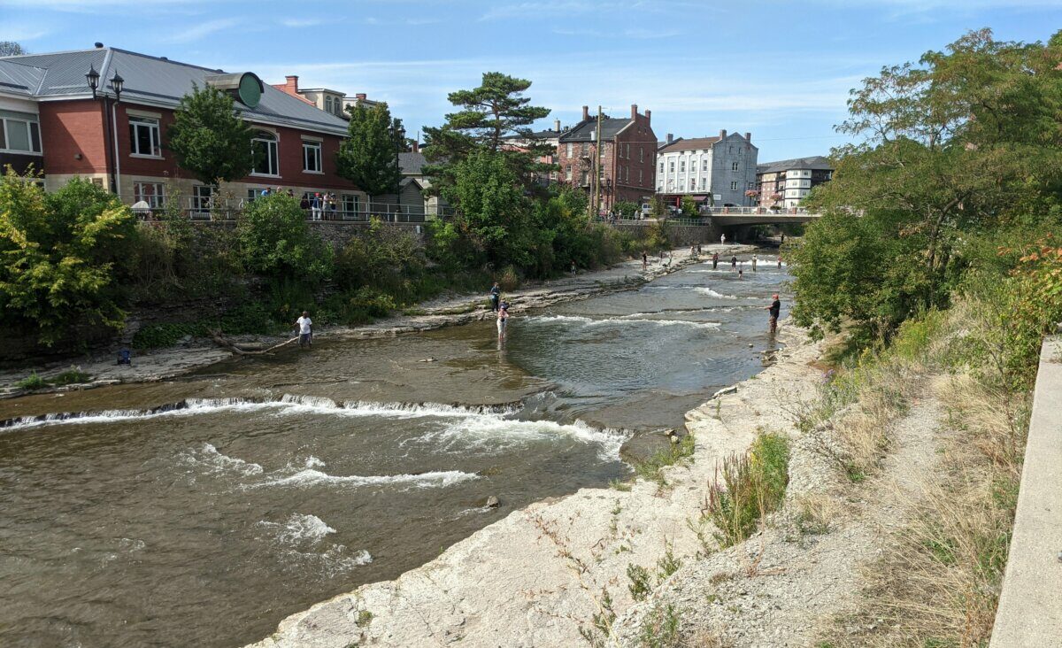 Ganaraska River Salmon Run A Short Guide For a Fall Day Trip to Port Hope
