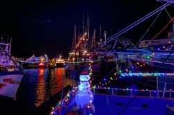 Port de Grave Boat Lighting Festival Returns This Friday