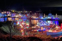Places to See Magical Christmas Light Displays in and Around St. John's