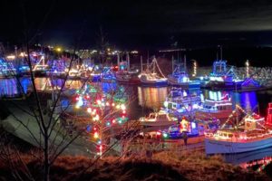 Magical Christmas Light Displays in and Around St. John's