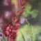 Prairie Artists Guild's Spring Fling Art Show & Sale