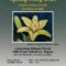Prairie Artists Guild's Spring Fling Art Show & Sale