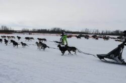 Family Day Weekend and February Break in Saskatchewan 2020