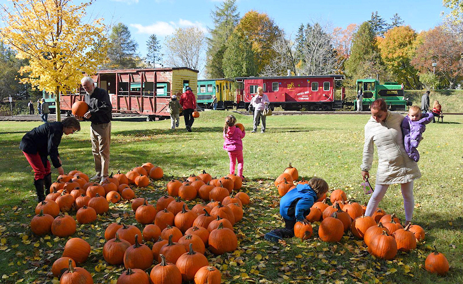Pumpkin Patch Train Ride