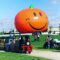 10 Fun Things to Do During 2025 Thanksgiving Weekend in Toronto