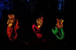 2026 Halloween in Ottawa - Haunted Attractions, Family Events & Adult Parties