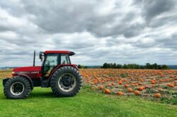 Fun Farms to Visit in Hamilton During Fall