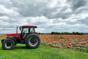 Fun Farms to Visit in Hamilton During Fall
