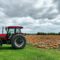 Fun Farms to Visit in Hamilton During Fall