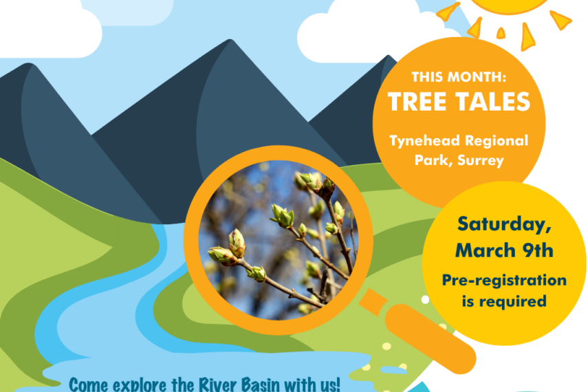 River Basin Days: Tree Tales!