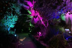 RBG After Dark: Seeing the Invisible