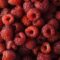 Frozen Raspberries Recalled by CFIA Following Reported Norovirus Illnesses