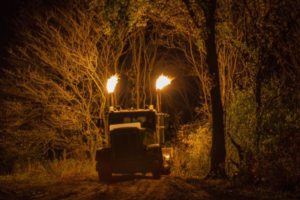 Reaper’s Realm in Southwestern Ontario Will Take You on a Haunted Forest Ride This Halloween