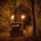 Reaper’s Realm in Southwestern Ontario Will Take You on a Haunted Forest Ride This Halloween